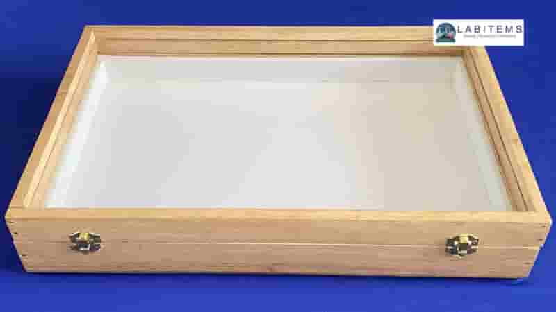 Insect Storage Box for students