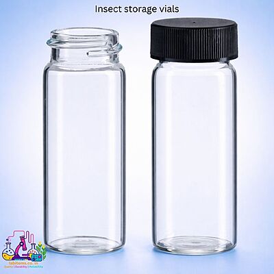 Insect storage vials -glass
