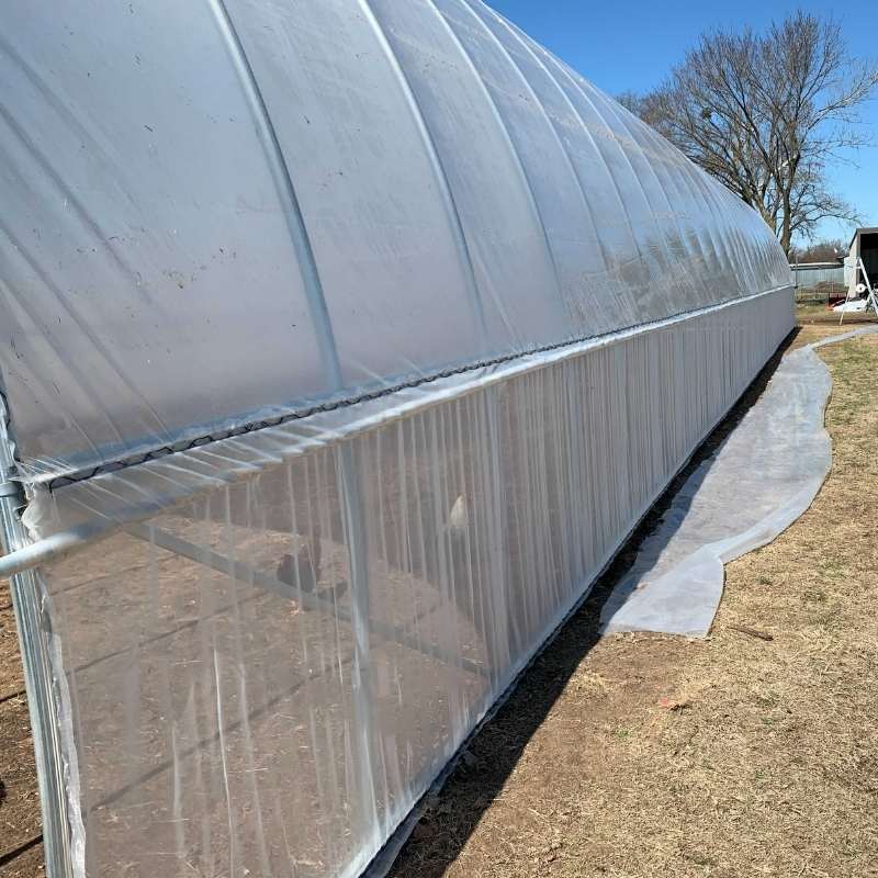 Insect Net Installation – Protected Cultivation Service