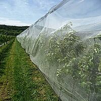 Insect Net Installation – Protected Cultivation Service