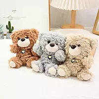 Teddy Plush key Chain