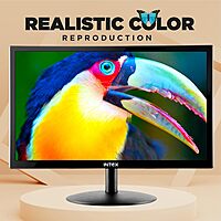 Intex 43.18 cm (17 Inch) LED Monitor IT-1701, HD IPS Panel, Anti-Glare Screen, VGA & HDMI Ports, 60Hz Refresh Rate, Slim Design, VESA Mount Compatible, Black