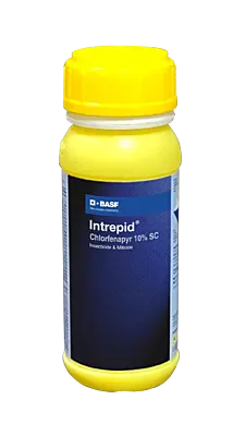 Intrepid by BASF