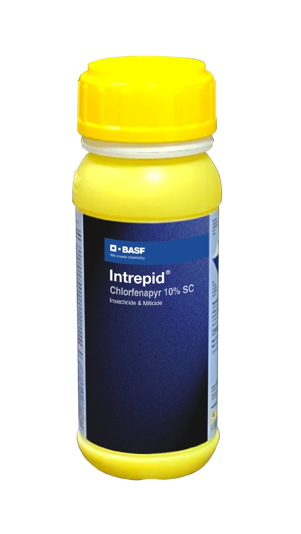 Intrepid by BASF