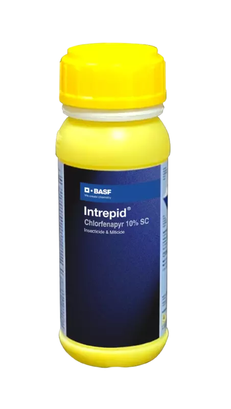 Intrepid by BASF