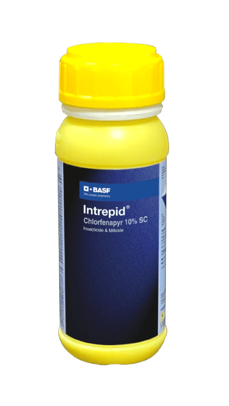 Intrepid by BASF