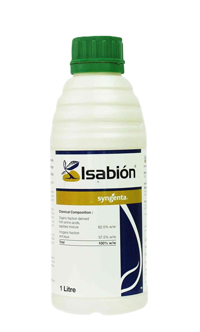 Isabion