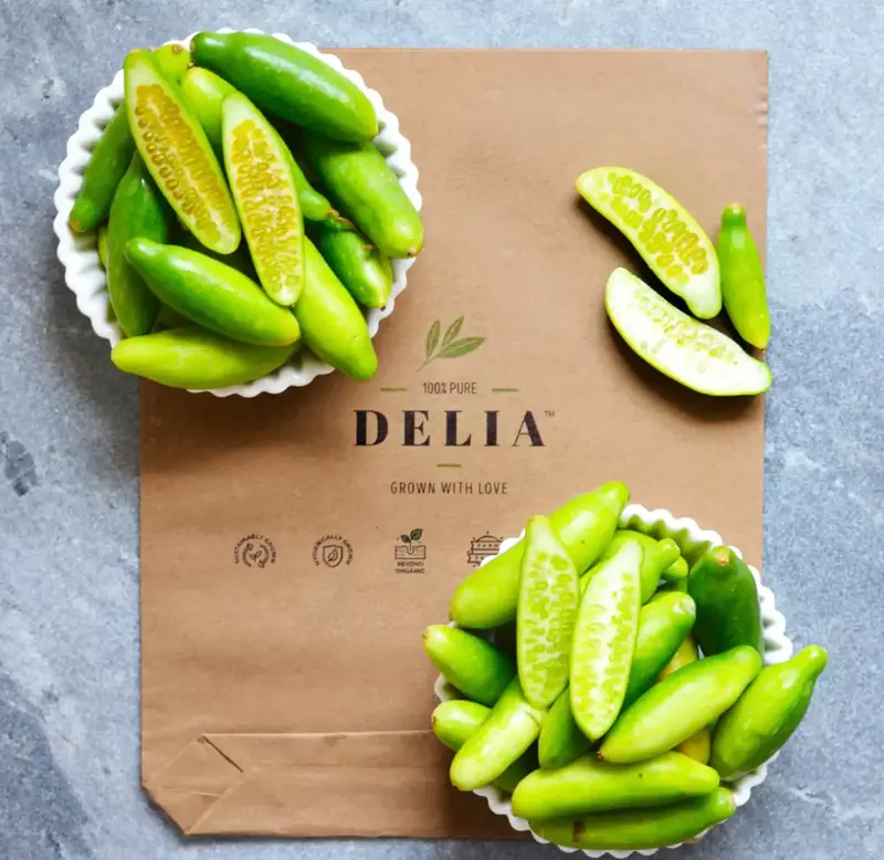 Ivy Gourd (Kundru) 250 gms - Delia