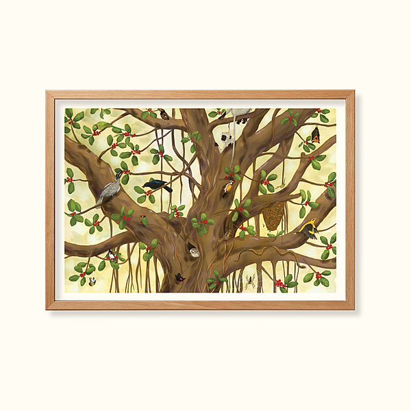 Life in the Banyan tree- Learning Gardens Living Museums