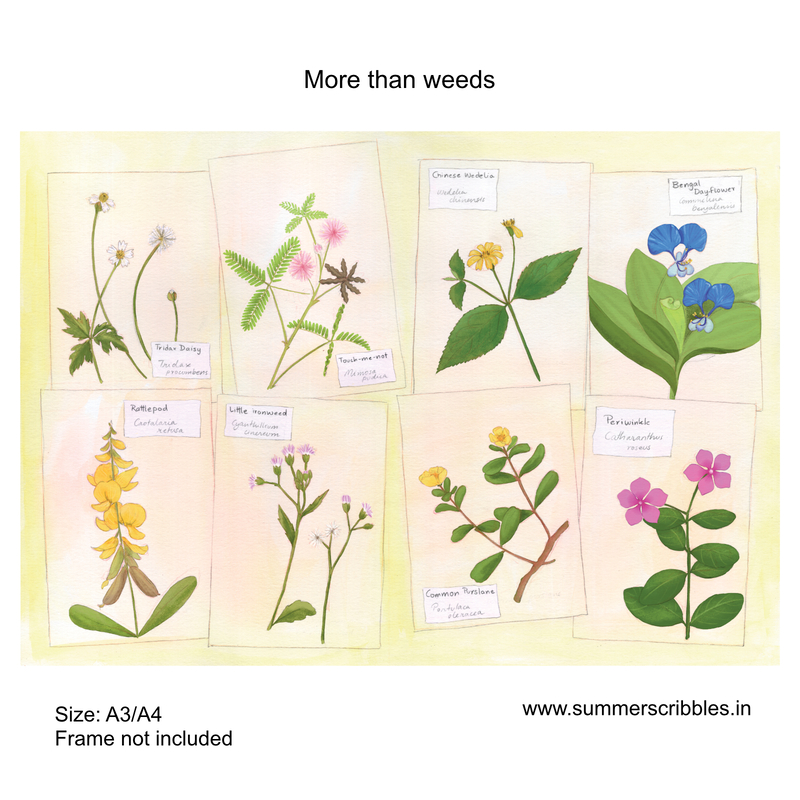 More than weeds- Learning Gardens Living Museums'