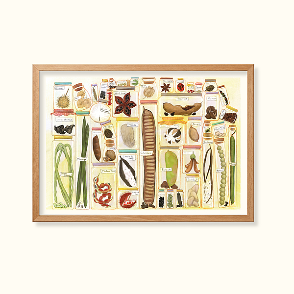 Seeds of new life -Learning Gardens Living Museums
