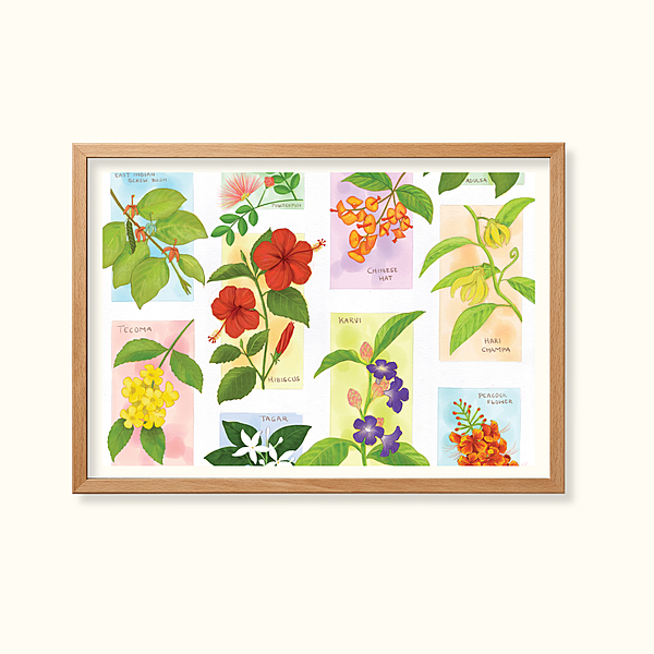 Shrubs in bloom - Learning Gardens Living Museums