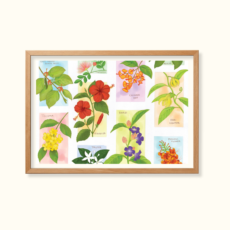 Shrubs in bloom - Learning Gardens Living Museums