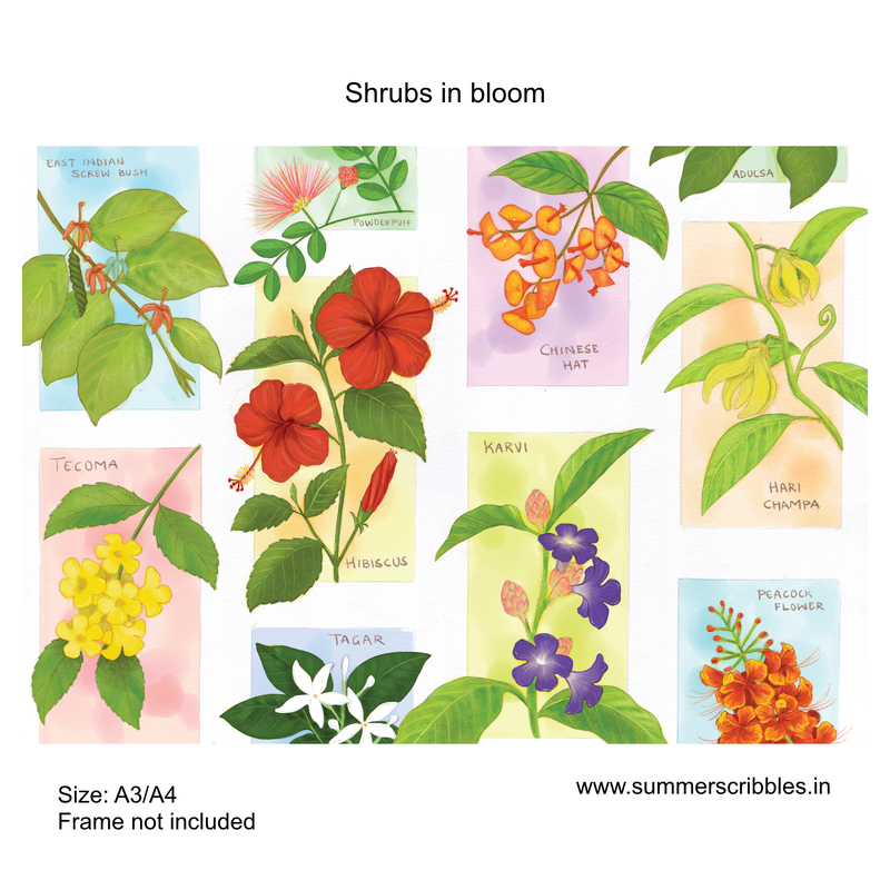 Shrubs in bloom - Learning Gardens Living Museums