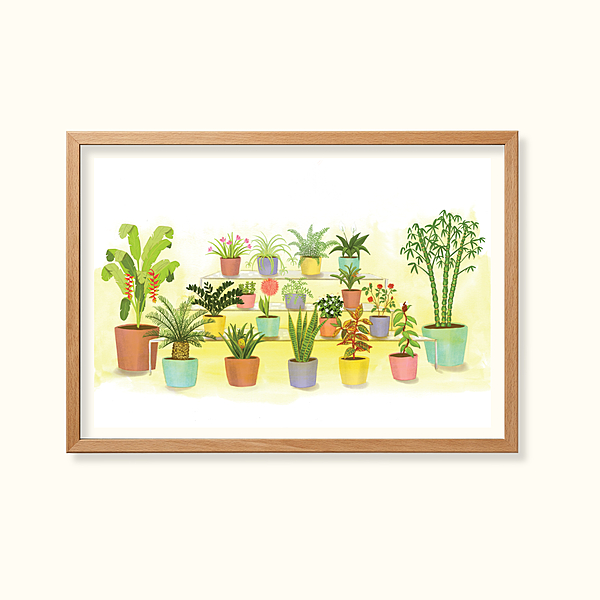 Ornamental garden plants- Learning Gardens Living Museums