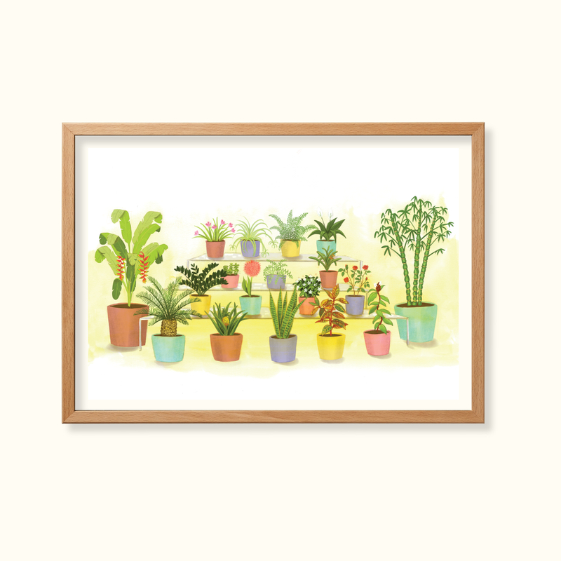 Ornamental garden plants- Learning Gardens Living Museums