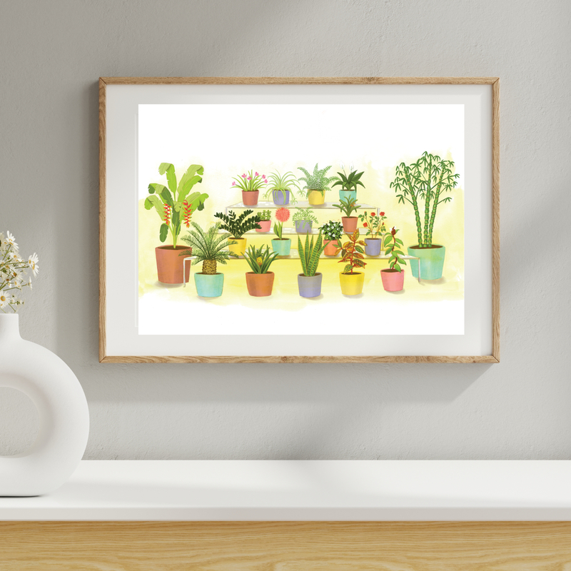 Ornamental garden plants- Learning Gardens Living Museums
