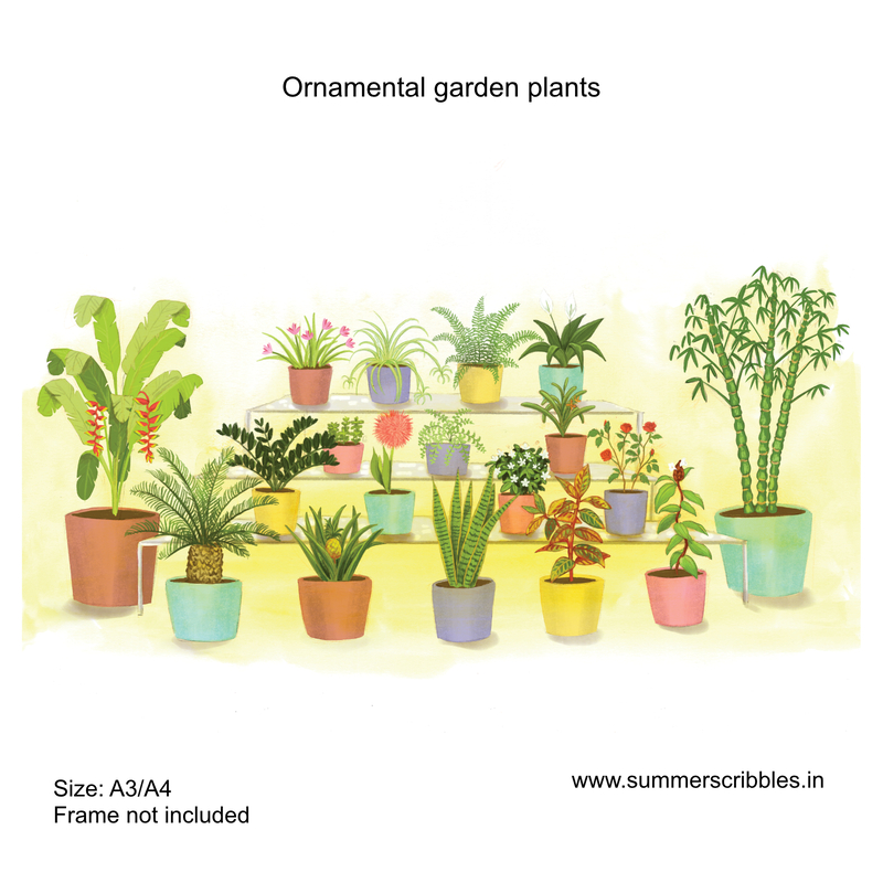 Ornamental garden plants- Learning Gardens Living Museums