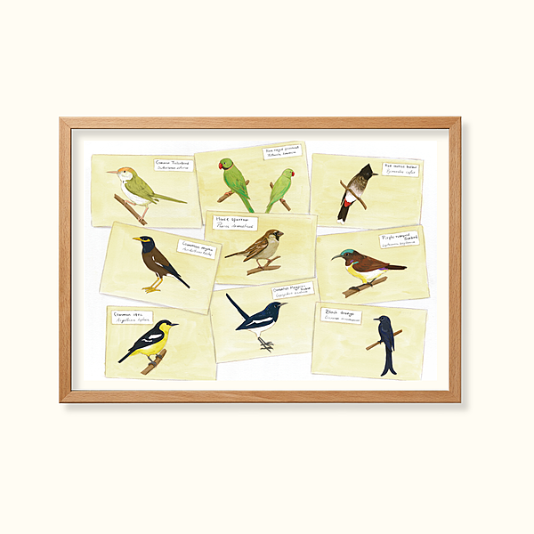 Birds in the garden - Learning Gardens Living Museums