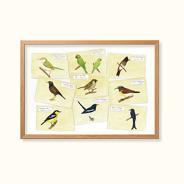 Birds in the garden - Learning Gardens Living Museums