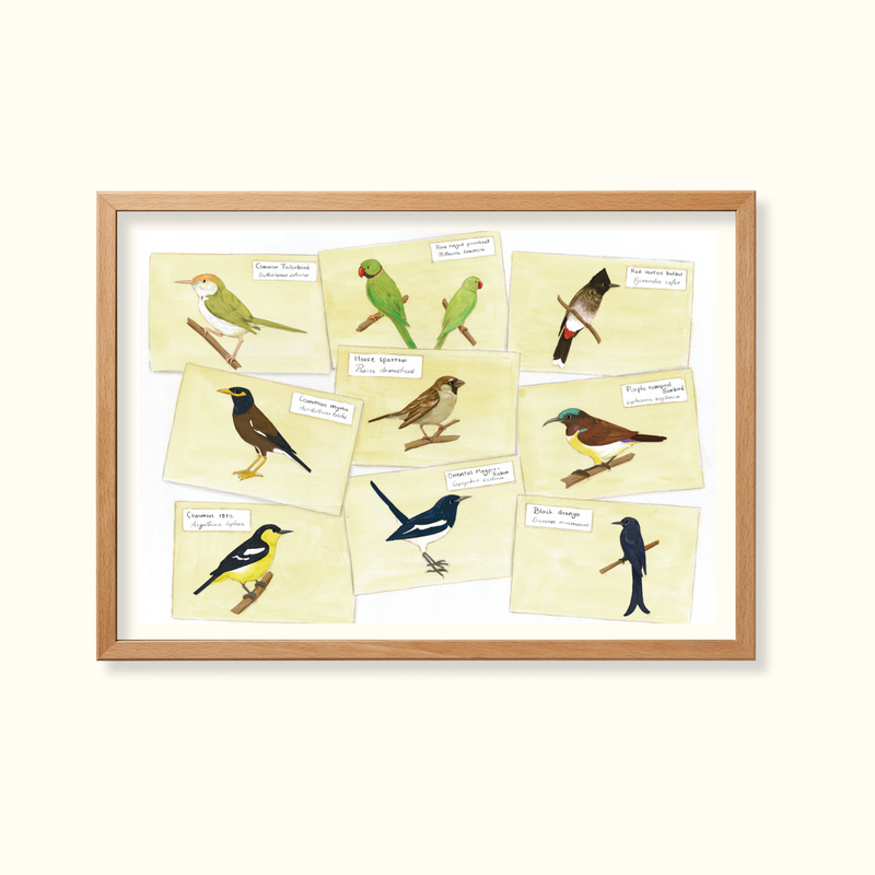 Birds in the garden - Learning Gardens Living Museums