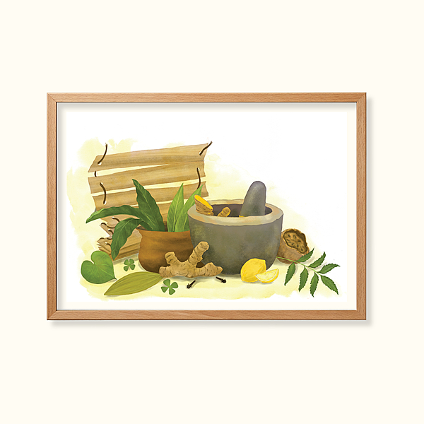 Traditional healing- Learning Gardens Living Museums