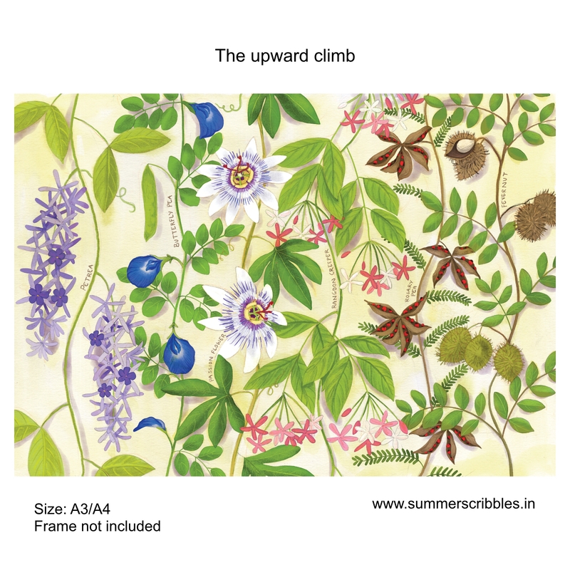 The upward climb- Learning Gardens Living Museums