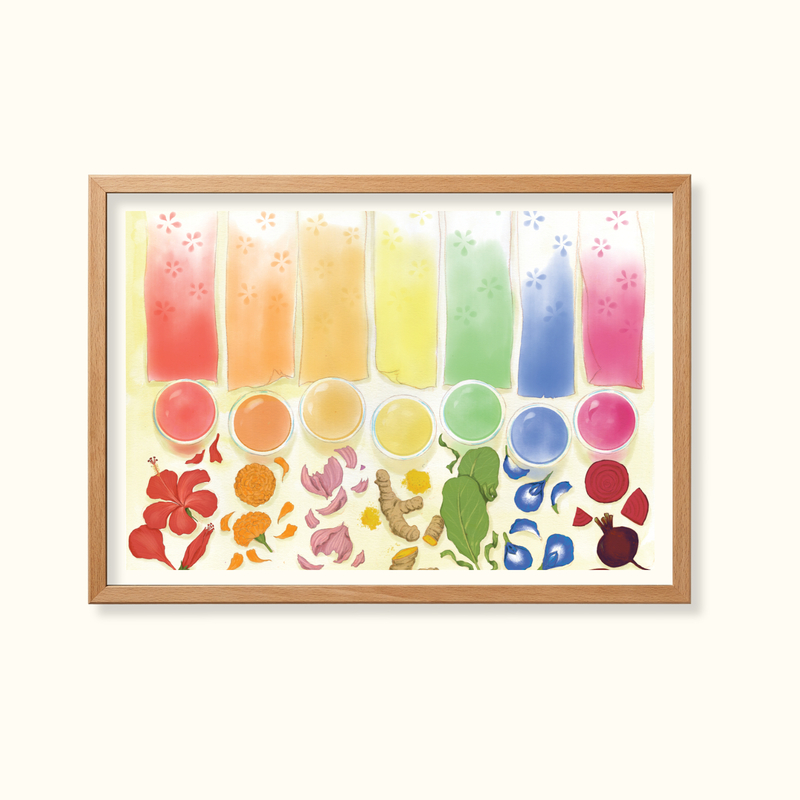 Colours from nature- Learning Gardens Living Museums