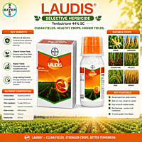 Bayer LAUDIS® Herbicide (Tembotrione 34.4% SC / 420 SC) | Vetrivel Agro Services