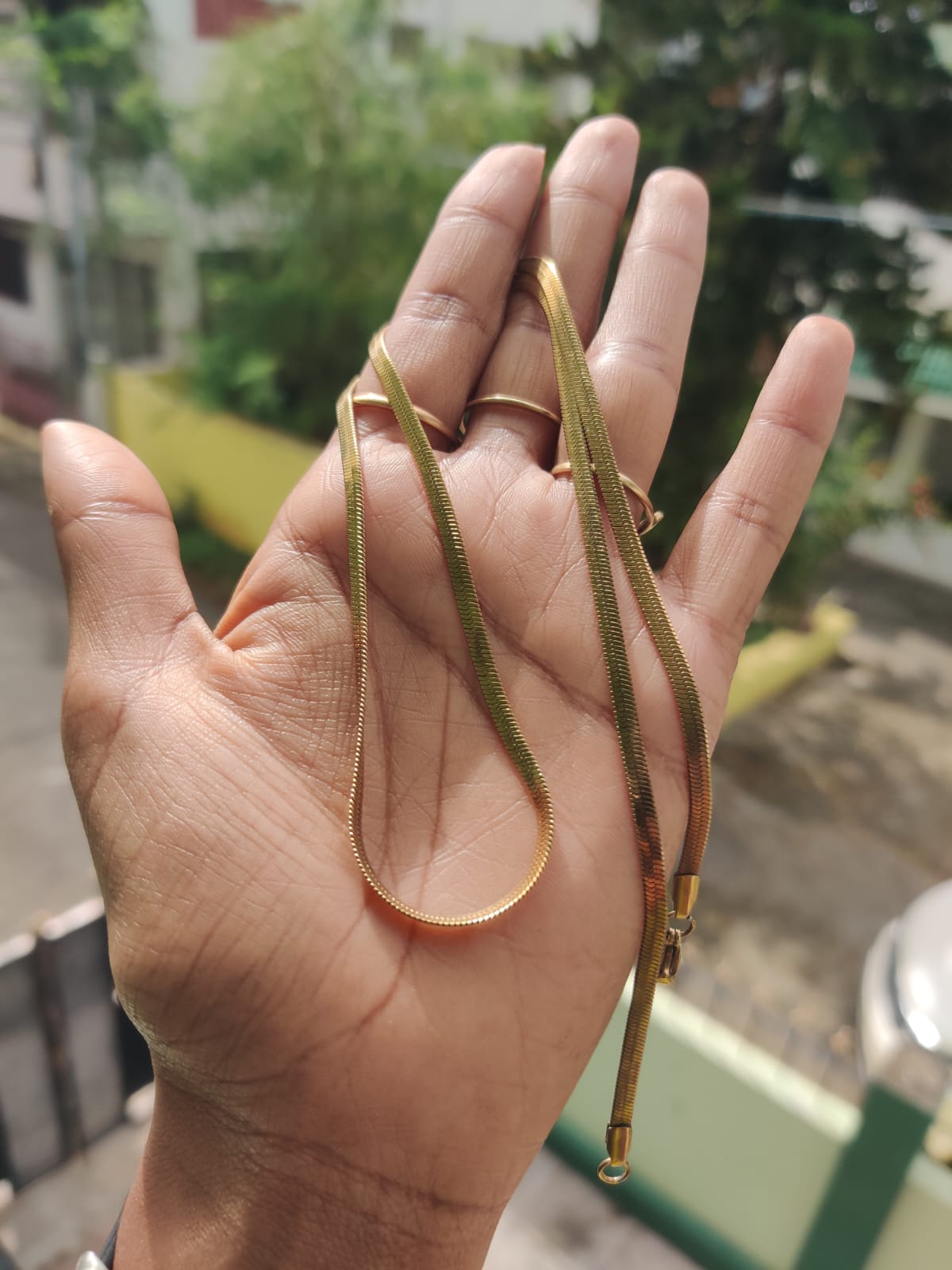 Snake Chain (JAT58)