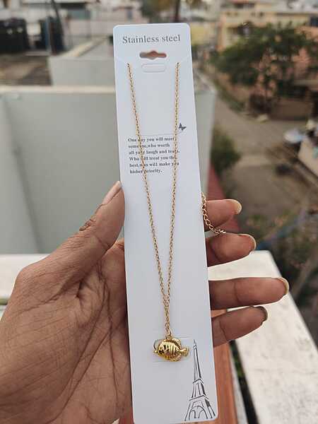 Antitarnish Chain (JAT65)