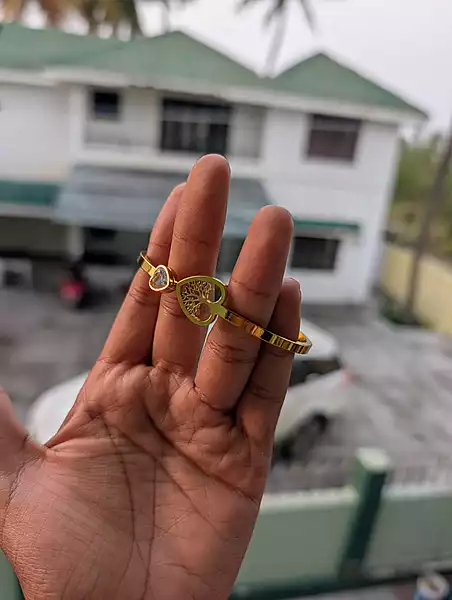 Bracelet (JBR18)