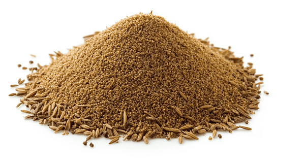 Cumin (Jeera)