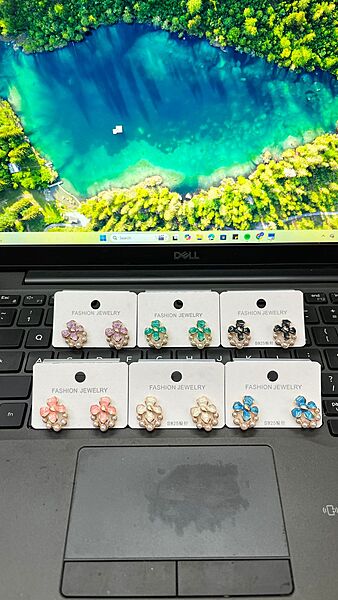 Fashion Earring (JFE02)