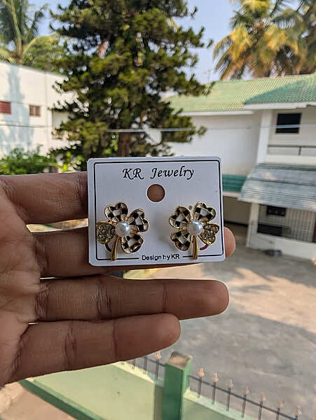 Fashion Earring (JFE27)