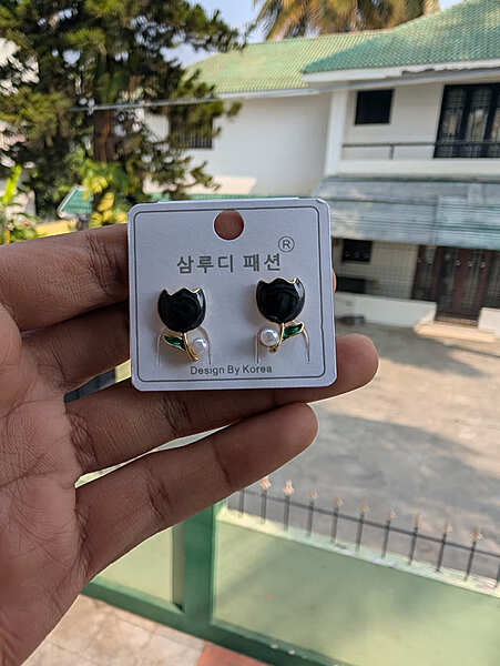 Fashion Earring (JFE38)