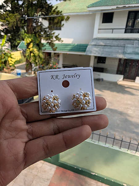 Fashion Earring (JFE39)