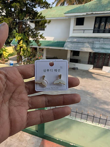 Fashion Earring (JFE40)