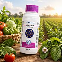 TATA Rallis Koranda Insecticide | Vetrivel Agro Services