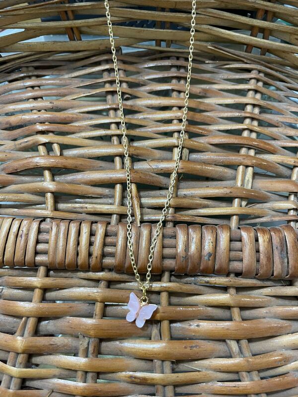 Gold butterfly JNCC109