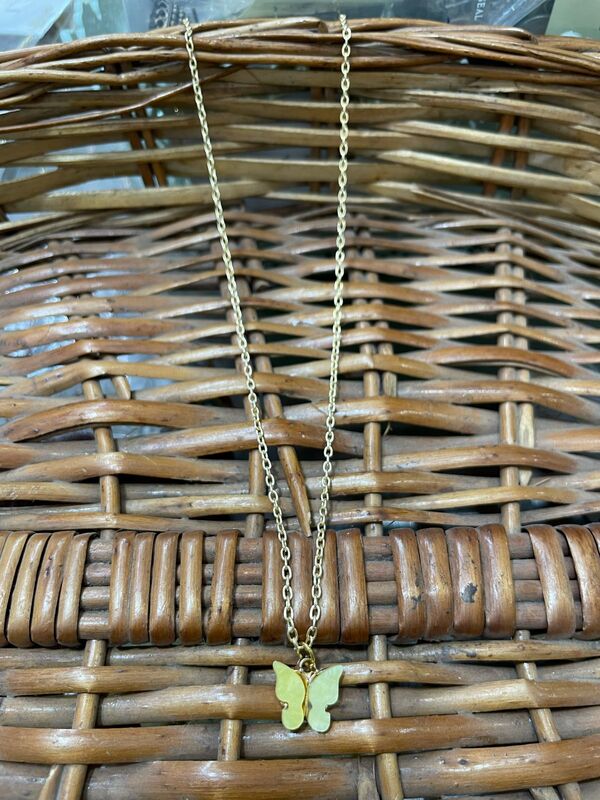 Gold butterfly JNCC109