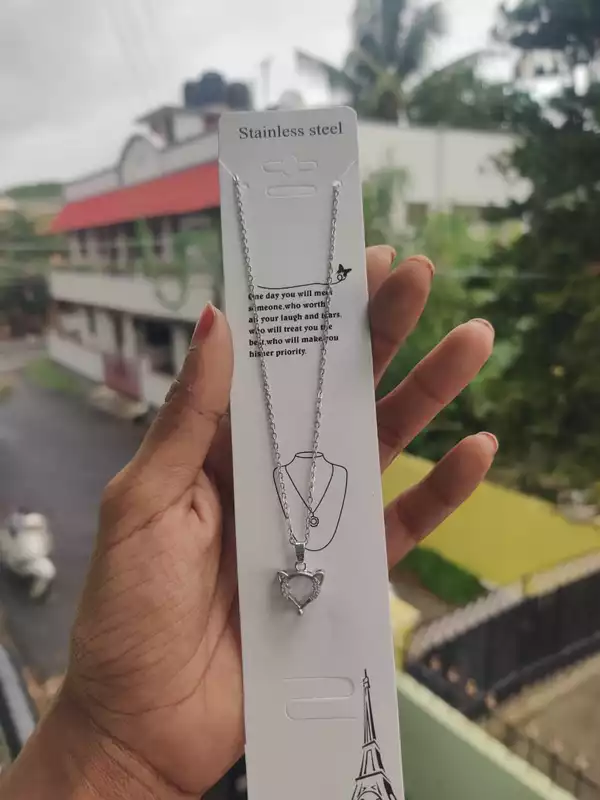 Chain JNCC138