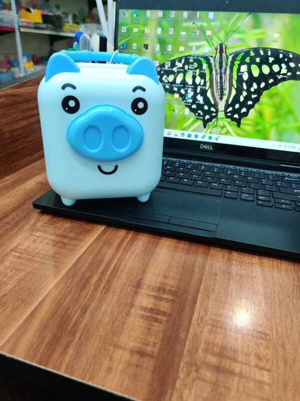 Pig Piggy Bank