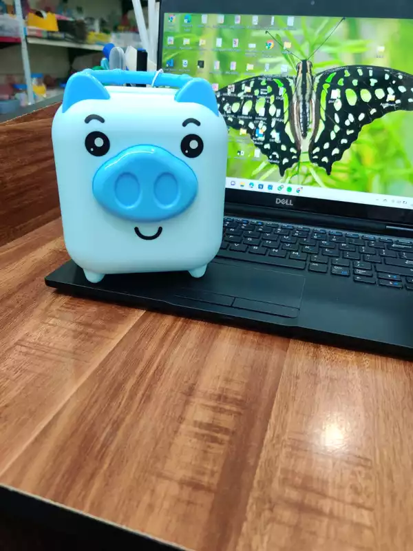 Pig Piggy Bank