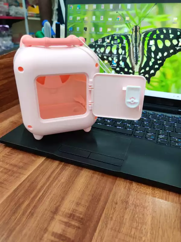 Pig Piggy Bank