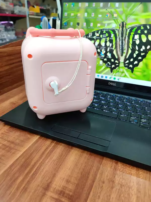 Pig Piggy Bank