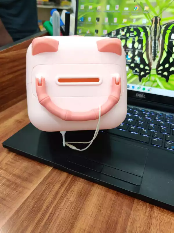 Pig Piggy Bank