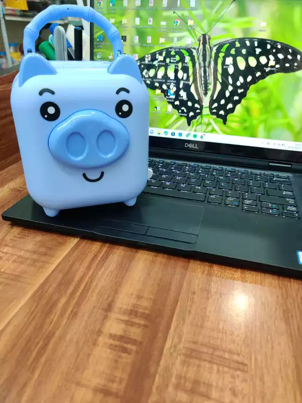Pig Piggy Bank