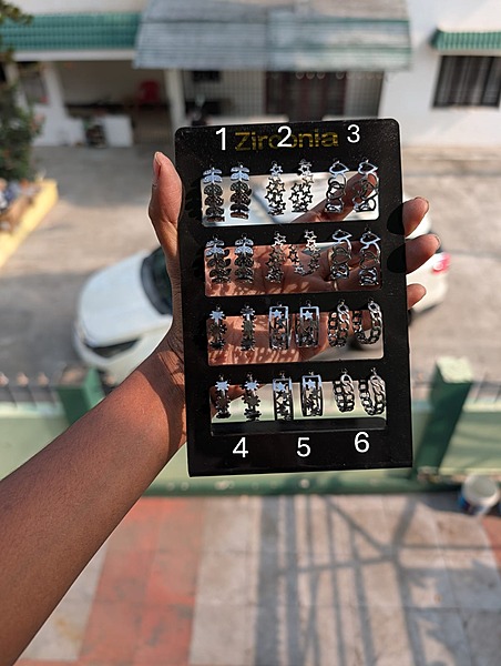 Stand Earring (JSE19)