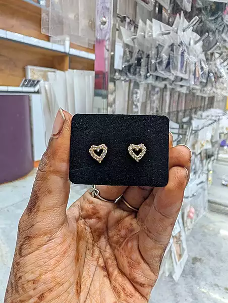 Heart JSS209